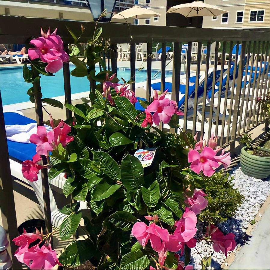 Beach Colony Motel Wildwood Crest Exteriér fotografie