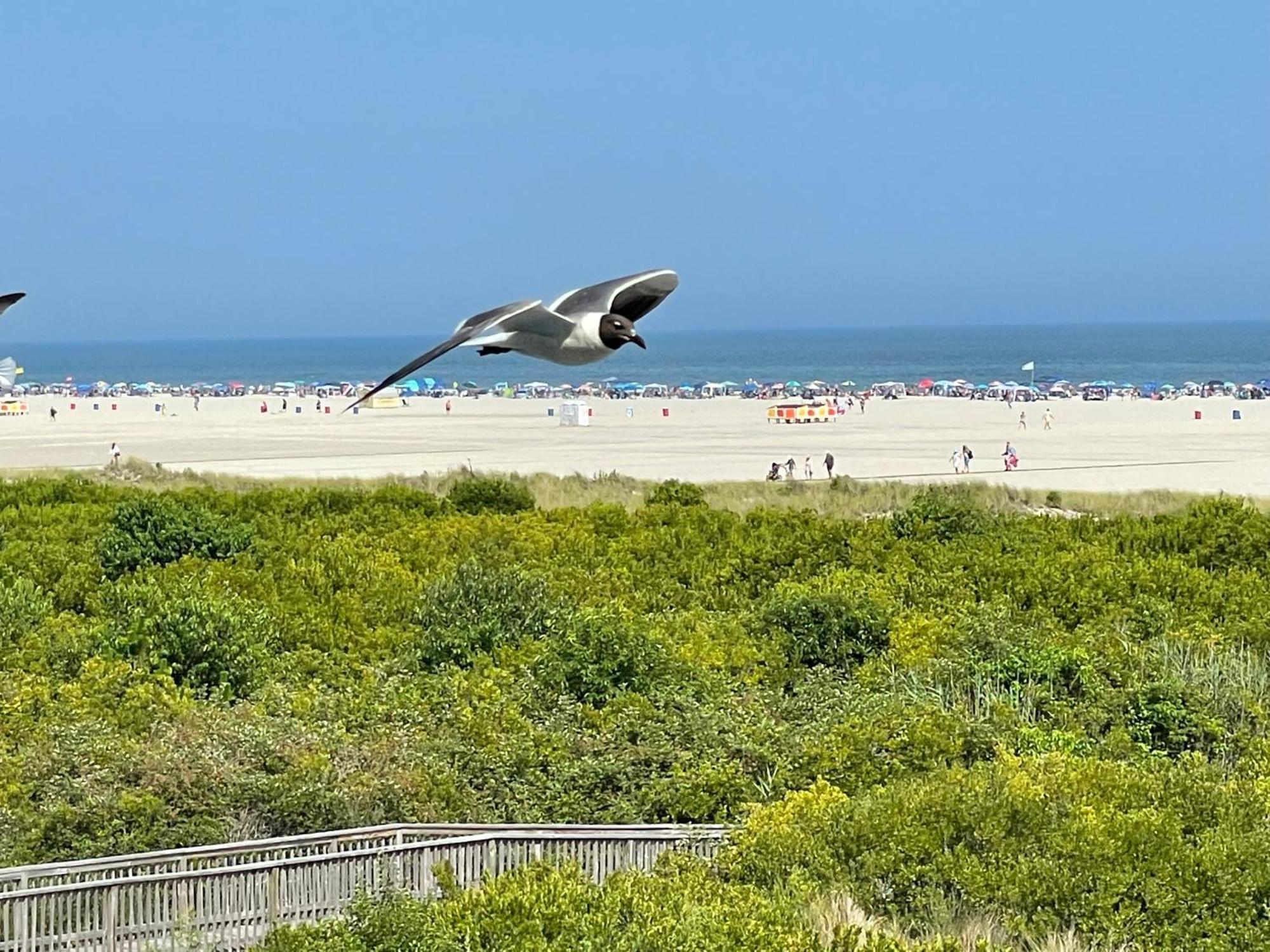 Beach Colony Motel Wildwood Crest Exteriér fotografie